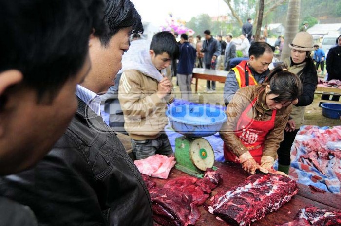 Những chú trâu dù có vô địch hay không, luôn bị thịt ngay sau khi kết thúc lễ hội